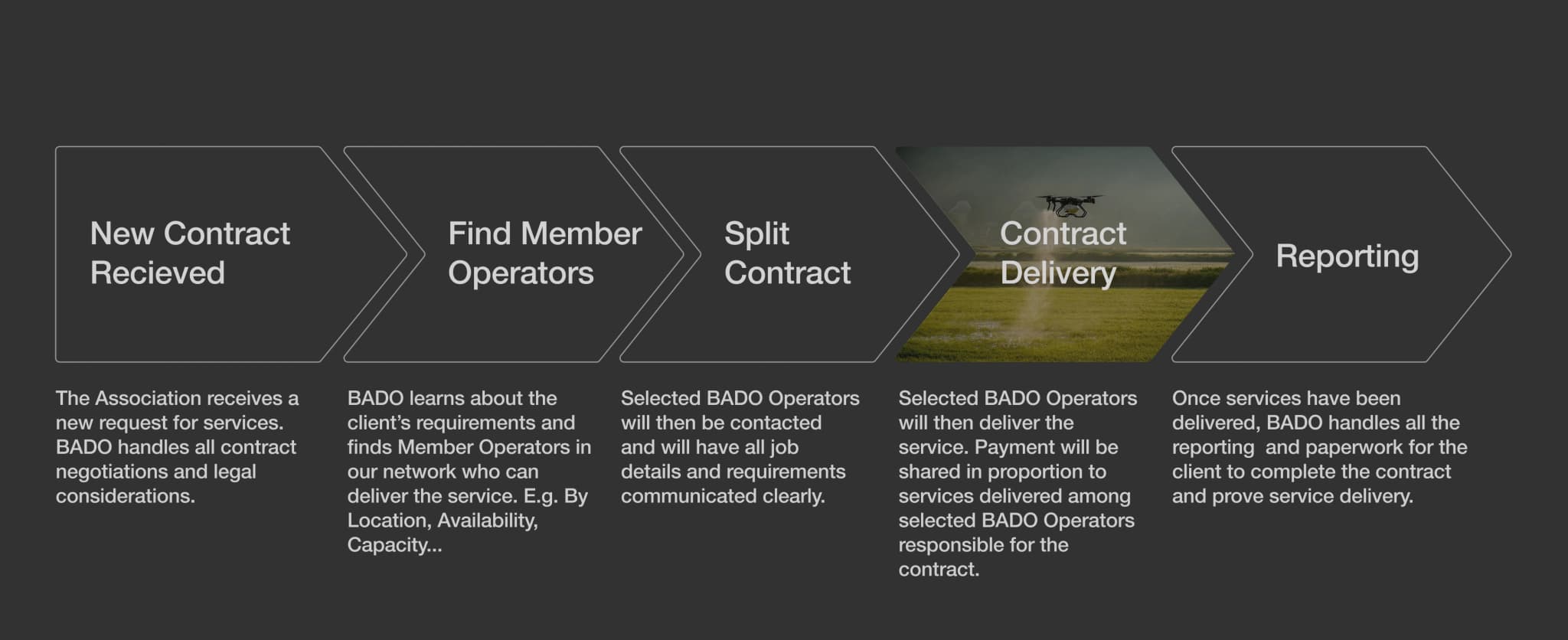 How BADO works for members